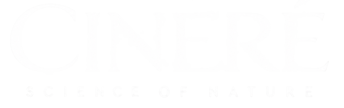 012 (3)